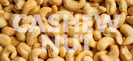 Cashew nut